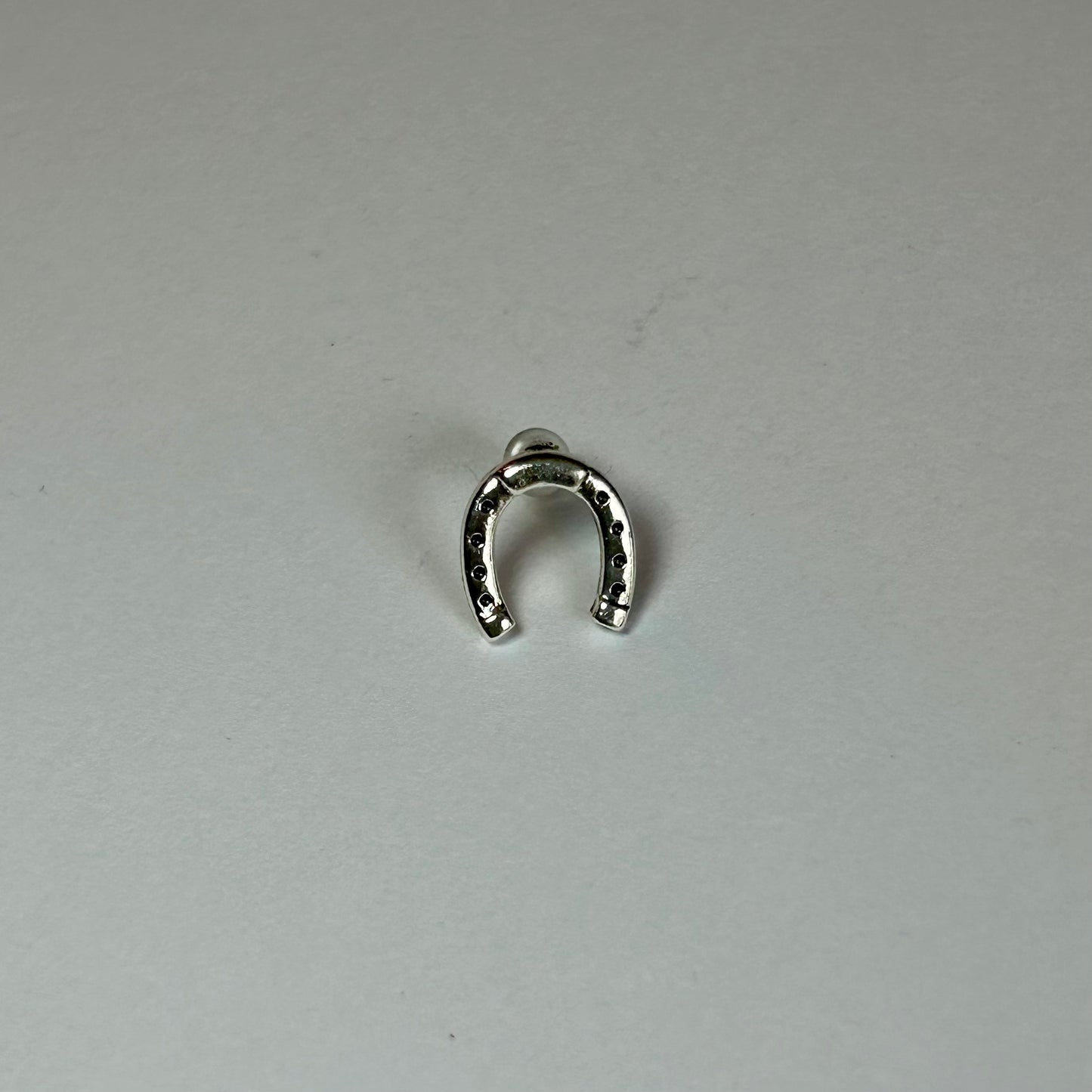 Horse Shoe Earrings