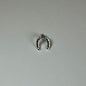 Horse Shoe Earrings