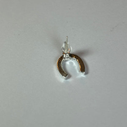 Horse Shoe Earrings